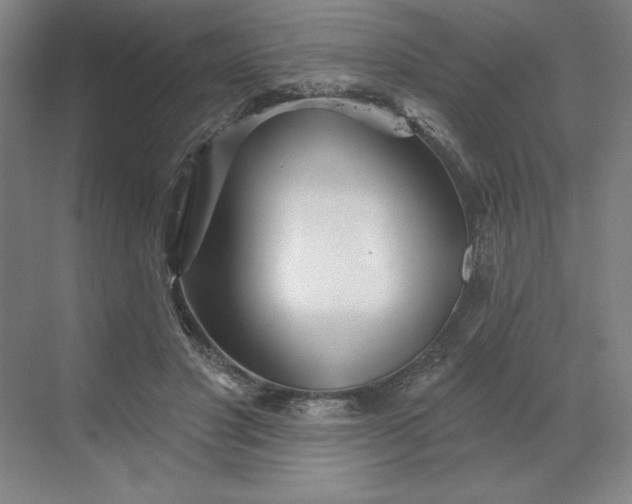 X0000068820501200605191837