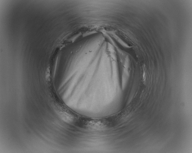 X0000068820502200605191837