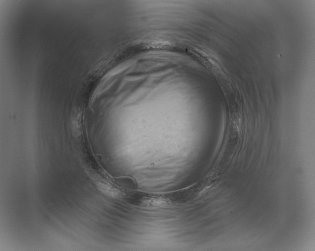 X0000068820503200605191837