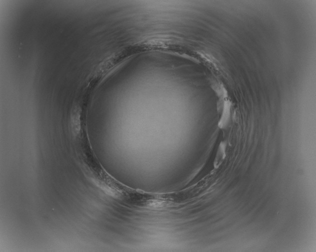 X0000068820504200605191837