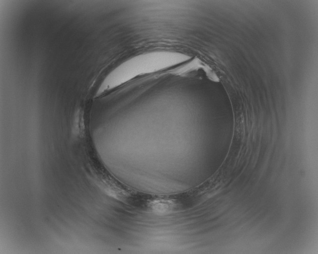 X0000068820508200605191836