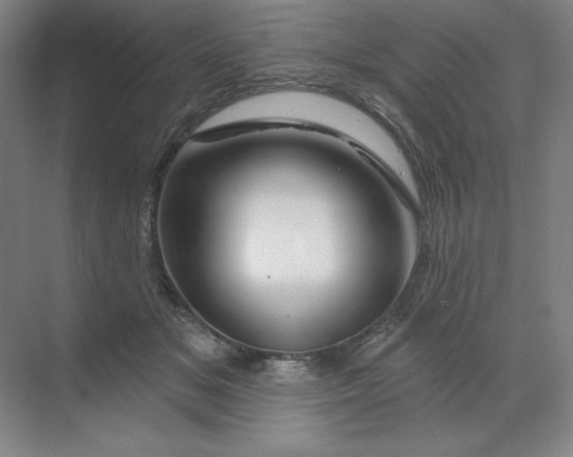 X0000068820509200605191836