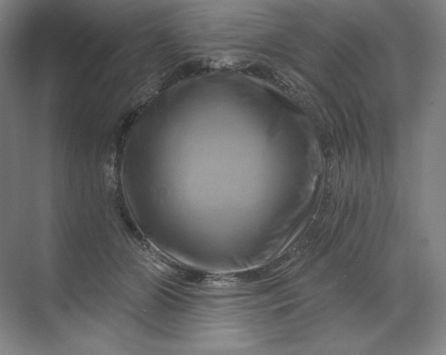 X0000068820510200605191836