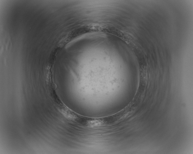 X0000068820511200605191836