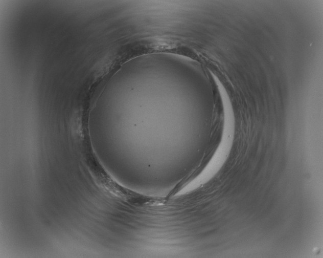 X0000068820512200605191836