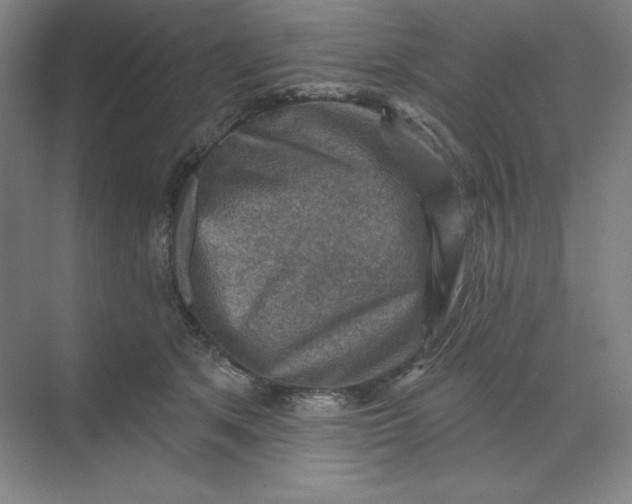 X0000068820513200605191836