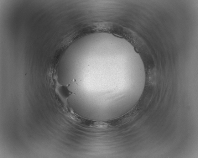 X0000068820514200605191836