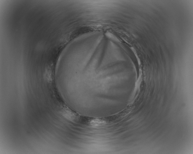 X0000068820515200605191836