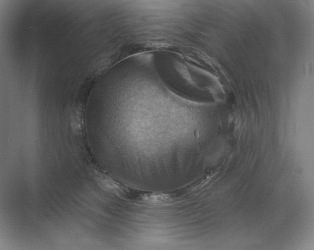 X0000068820517200605191836