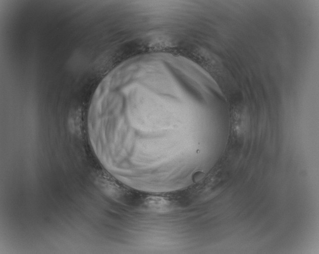 X0000068820519200605191836