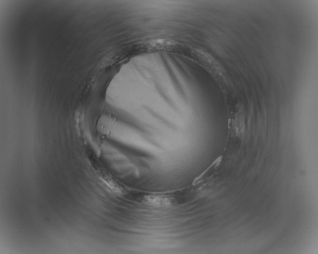 X0000068820520200605191836