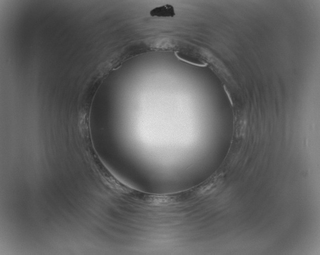 X0000068820521200605191836