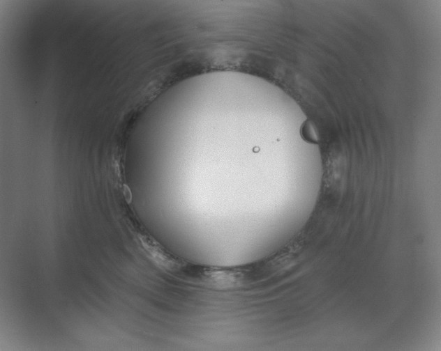 X0000068820522200605191836