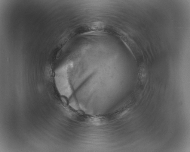 X0000068820523200605191836