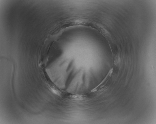 X0000068820524200605191836