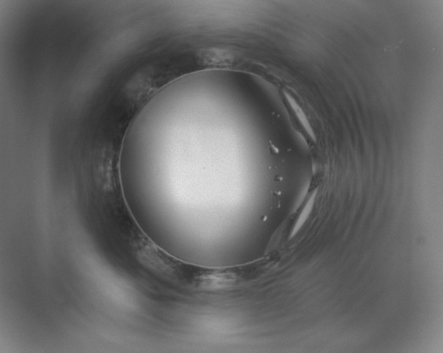 X0000068820525200605191836