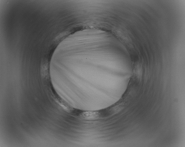 X0000068820526200605191836