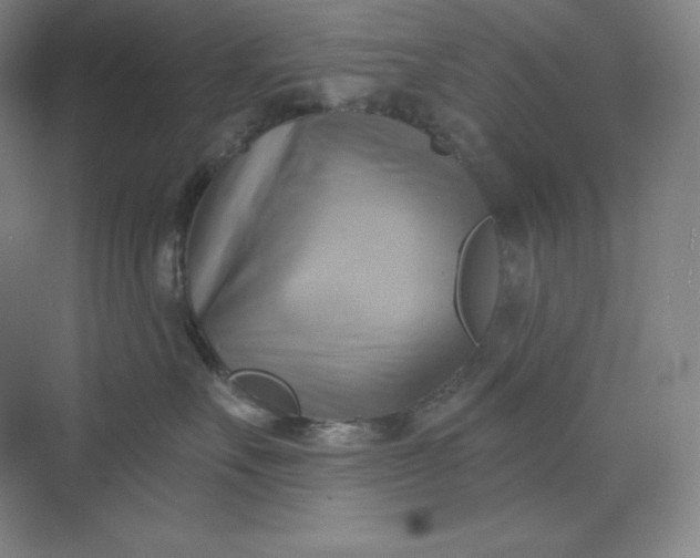 X0000068820527200605191836