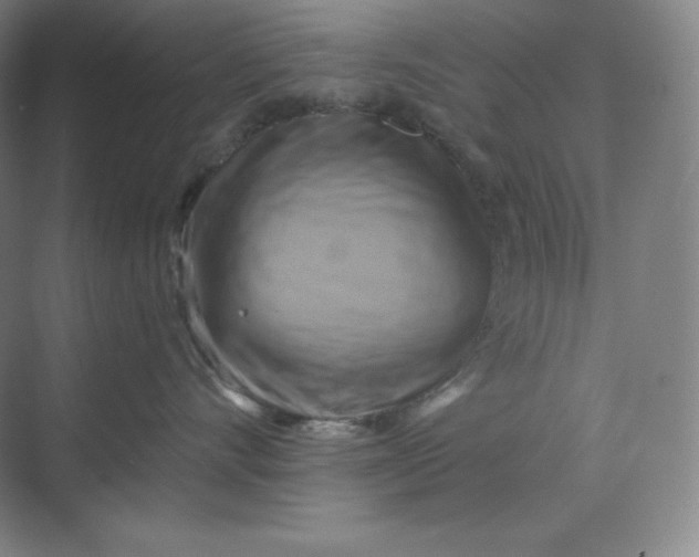 X0000068820528200605191836