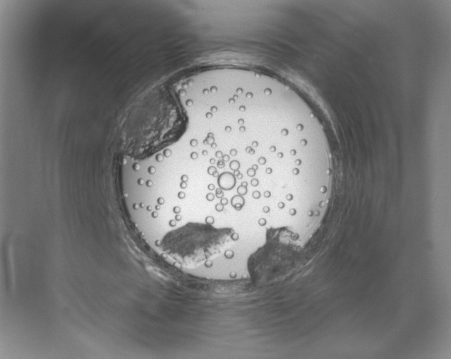 X0000068820529200605191835