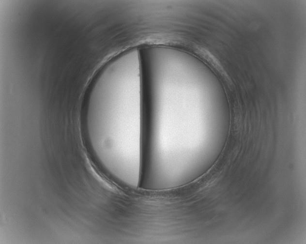 X0000068820530200605191835