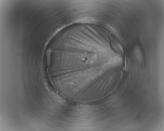 X0000068820531200605191835