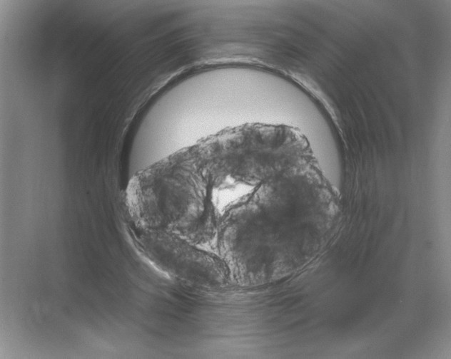 X0000068820533200605191835