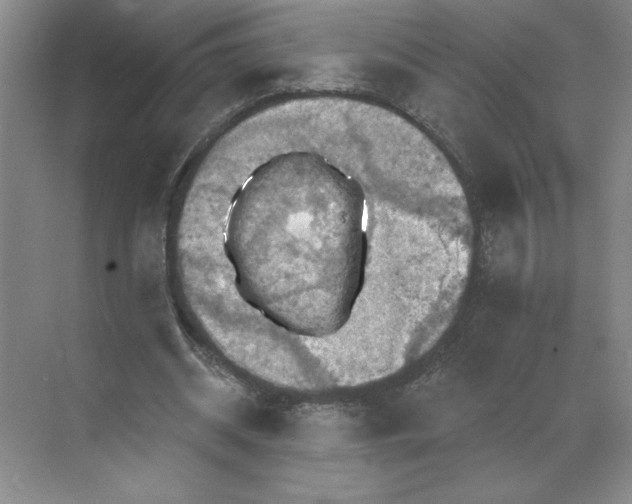 X0000068820534200605191835