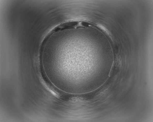 X0000068820535200605191835