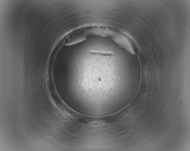 X0000068820536200605191835