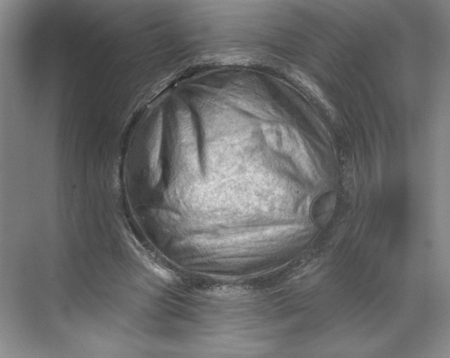 X0000068820537200605191835