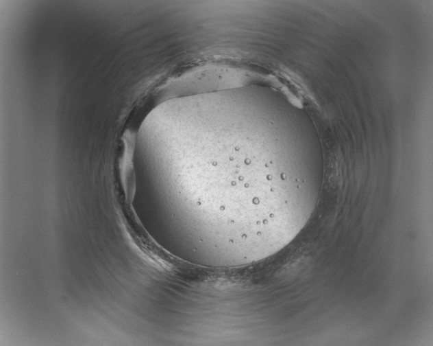 X0000068820538200605191836