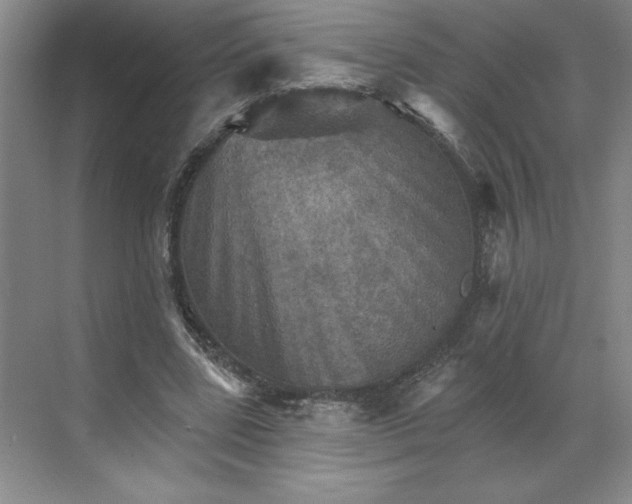 X0000068820539200605191836