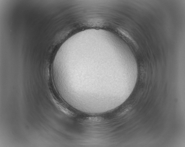 X0000068820541200605191836