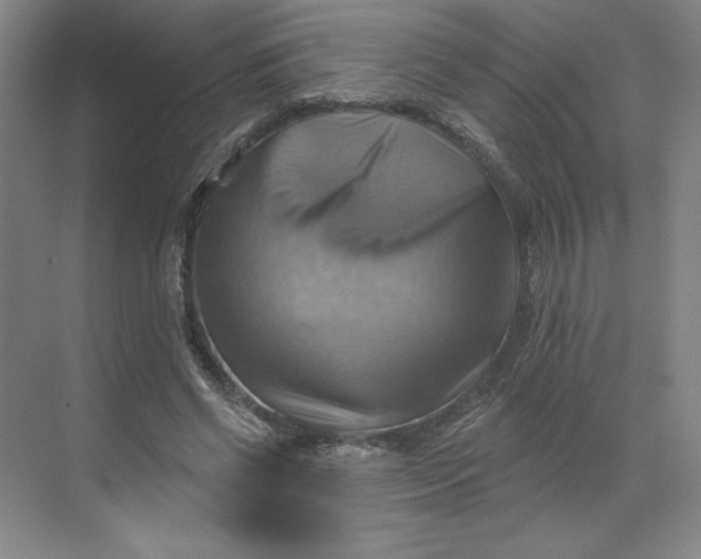 X0000068820542200605191836