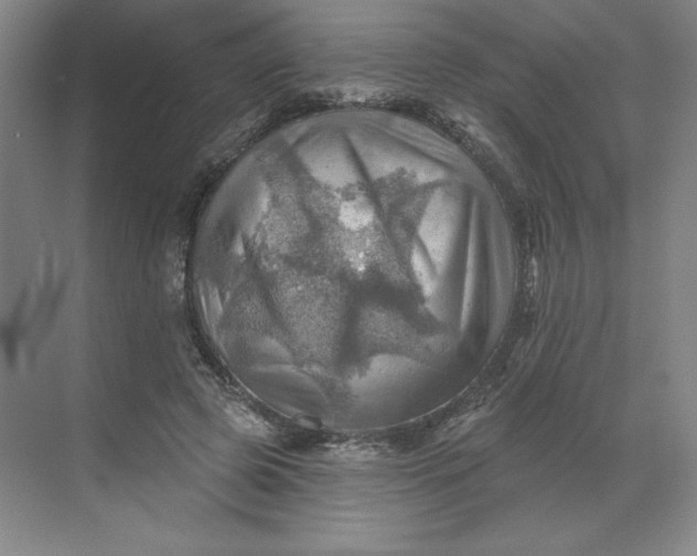 X0000068820545200605191836