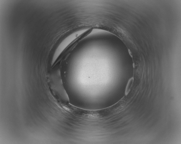 X0000068820548200605191836