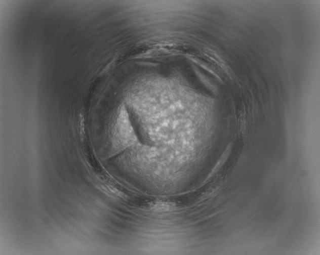 X0000068820549200605191836