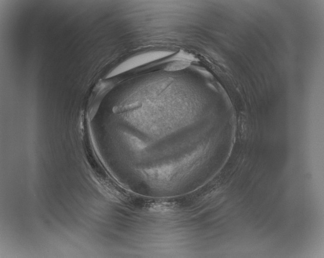 X0000068820550200605191836