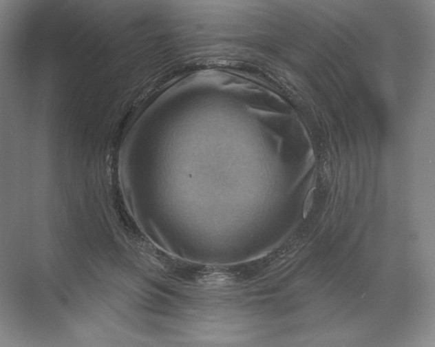 X0000068820551200605191836