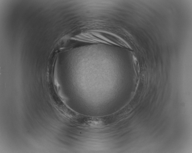 X0000068820552200605191836