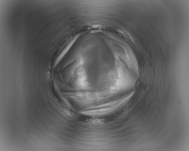 X0000068820553200605191836