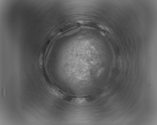 X0000068820554200605191836