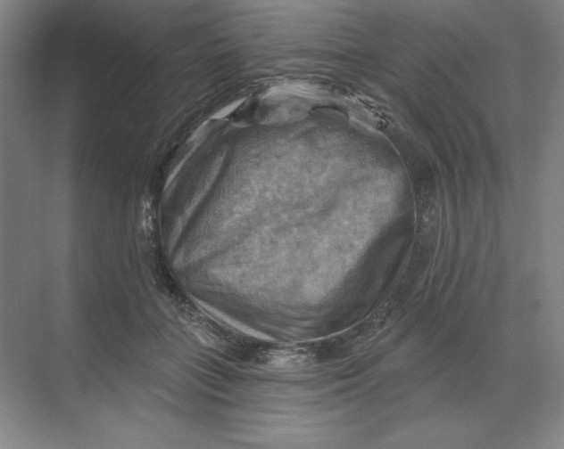 X0000068820555200605191836