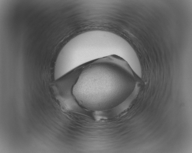 X0000068820556200605191836