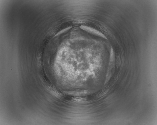 X0000068820557200605191836