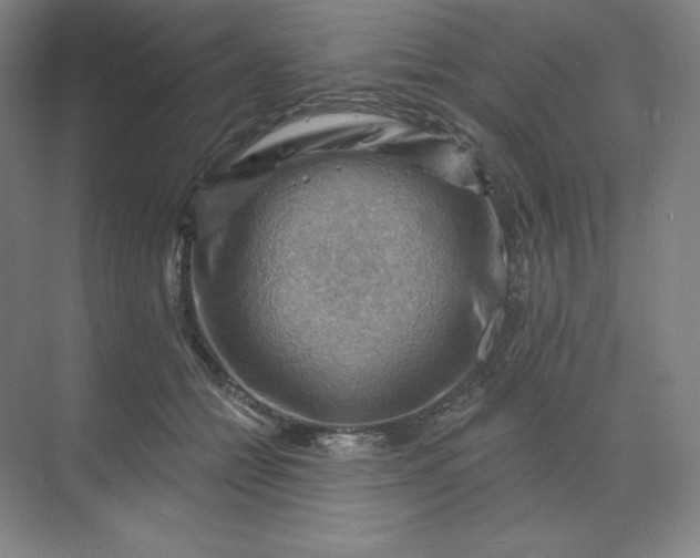 X0000068820558200605191836