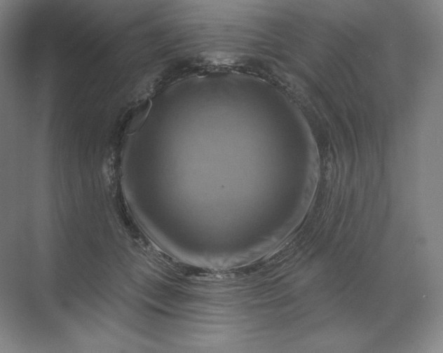 X0000068820559200605191836