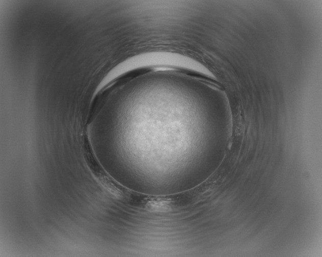 X0000068820560200605191836