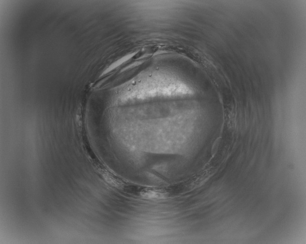 X0000068820561200605191836